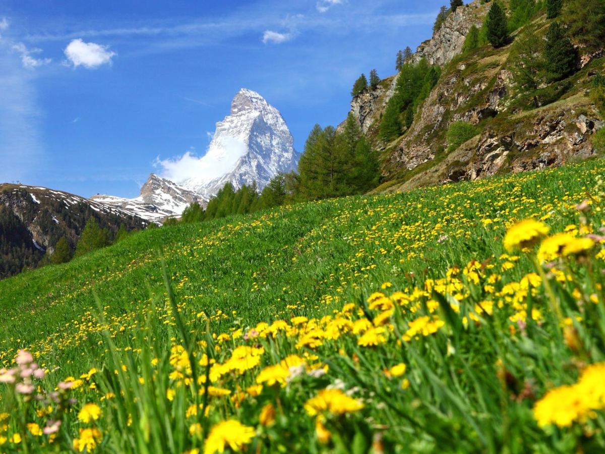 Apartment Select By Interhome Zermatt Exterior foto